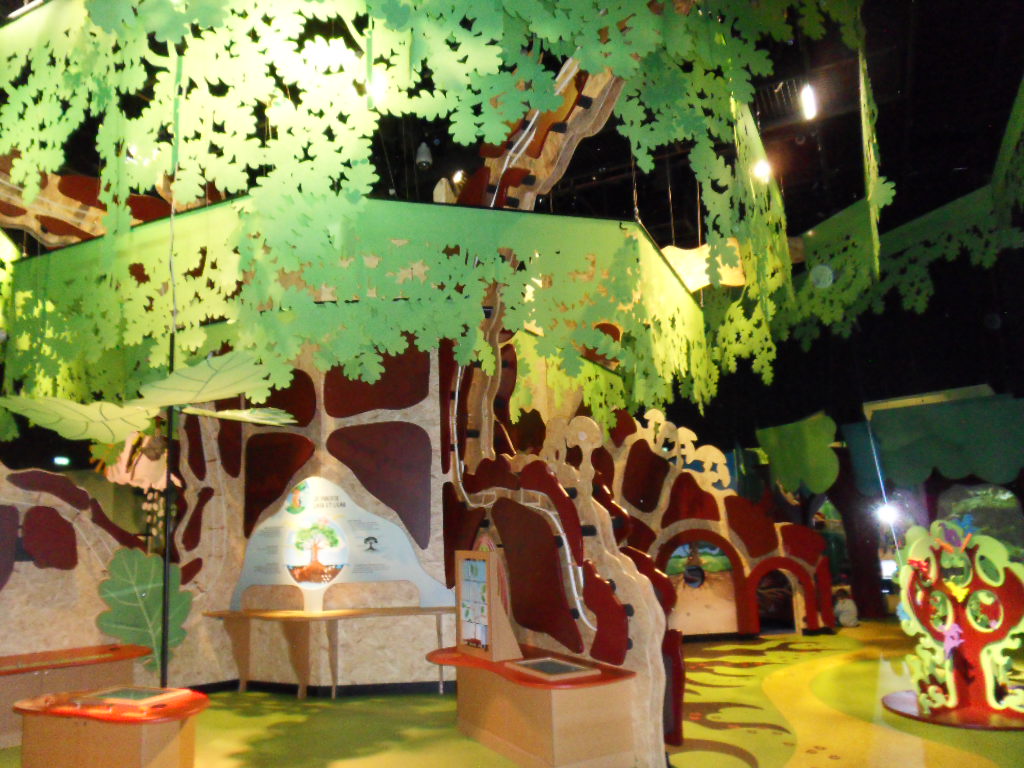 Sortie des petits au musée des enfants à l’Historial : “Il était une fois l’arbre”